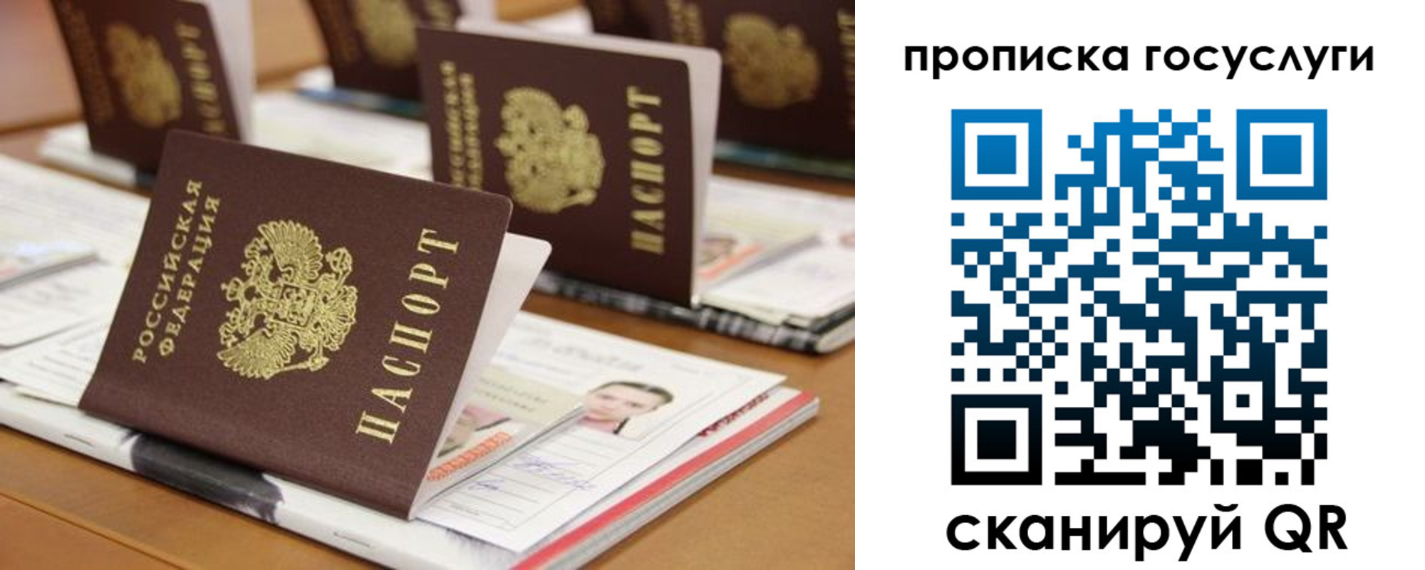регистрация для дет. сада в Кашине